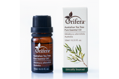 Australian Tea Tree (Melaleuca Alternifolia) Essential Oil Australian Tea Tree (Melaleuca Alternifolia) Essential Oil